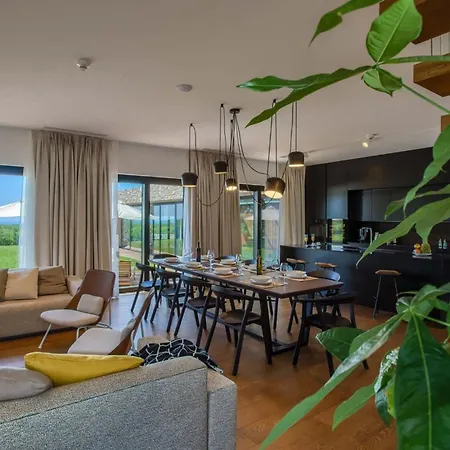 Elegant Istria 18m Private Pool Novica Platinum 4 Bedrooms Jacuzzi Sauna And Gym