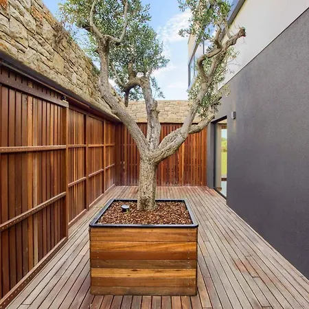 Elegant Istria 18m Private Pool Novica Platinum 4 Bedrooms Jacuzzi Sauna And Gym Villa Jasenovica
